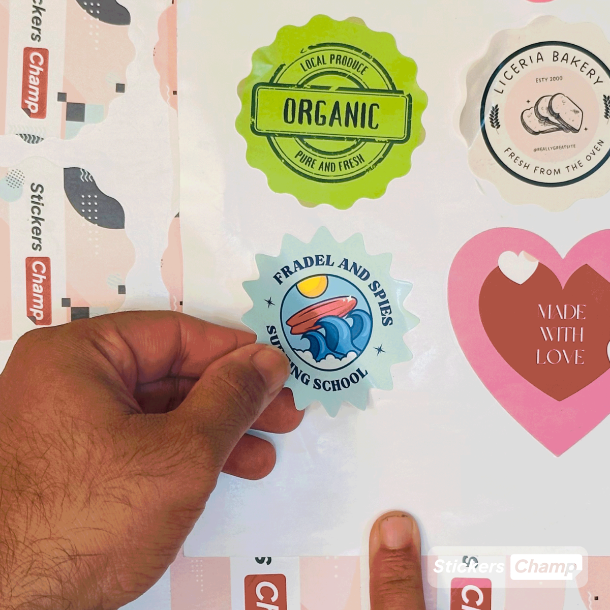 Scallop Stickers Scallop Stickers